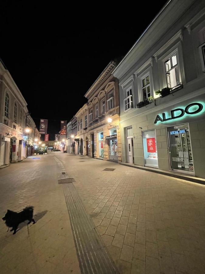 Ferienwohnung Lux Dabich Novi Sad Exterior foto