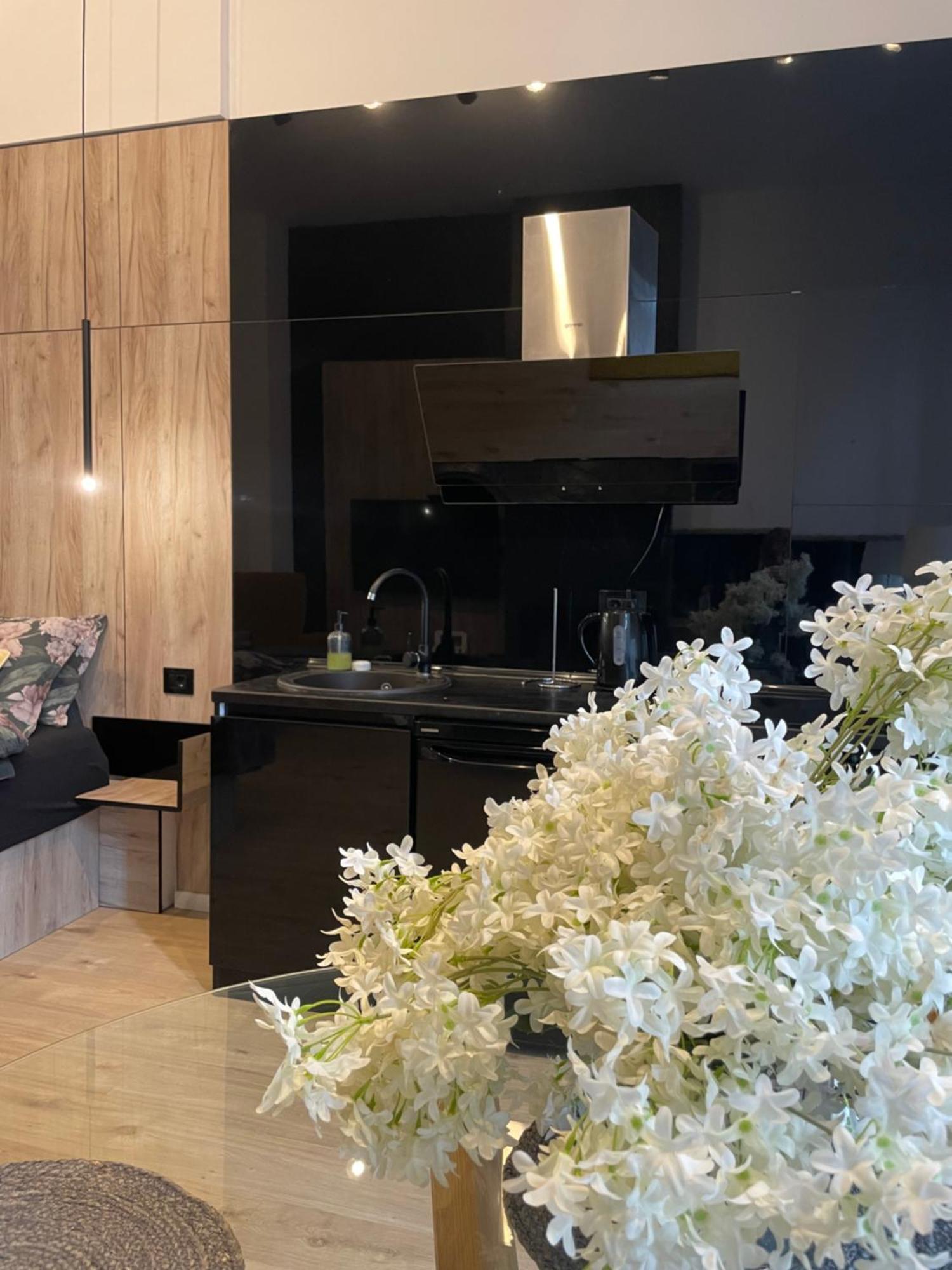 Ferienwohnung Lux Dabich Novi Sad Exterior foto